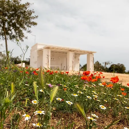 Masseria Scaledda Manduria Exterior foto
