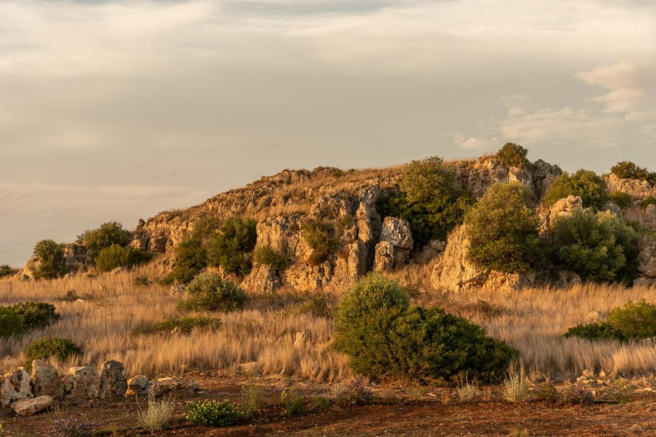 Masseria Scaledda Casa di campagna *